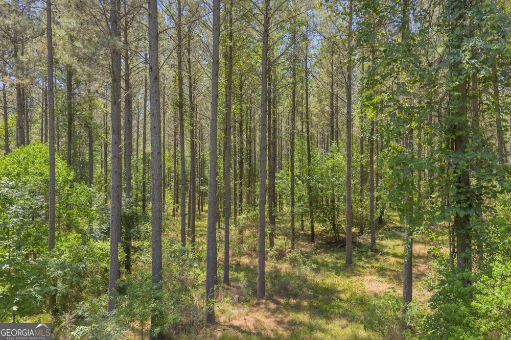 0 Hidden Harbor RD Lincolnton, GA 30817