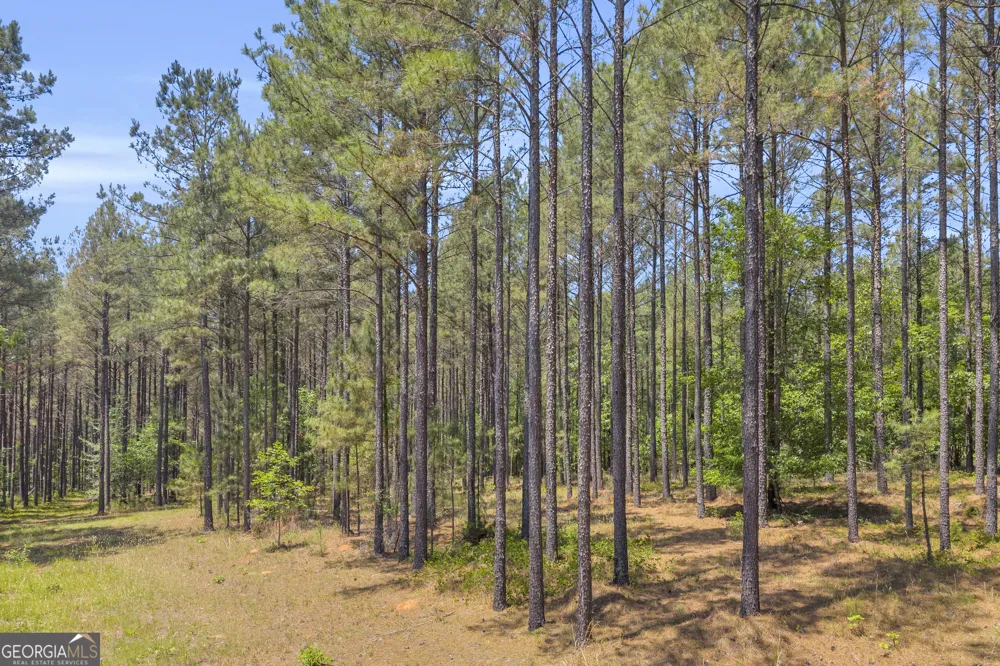 0 Hidden Harbor RD Lincolnton, GA 30817