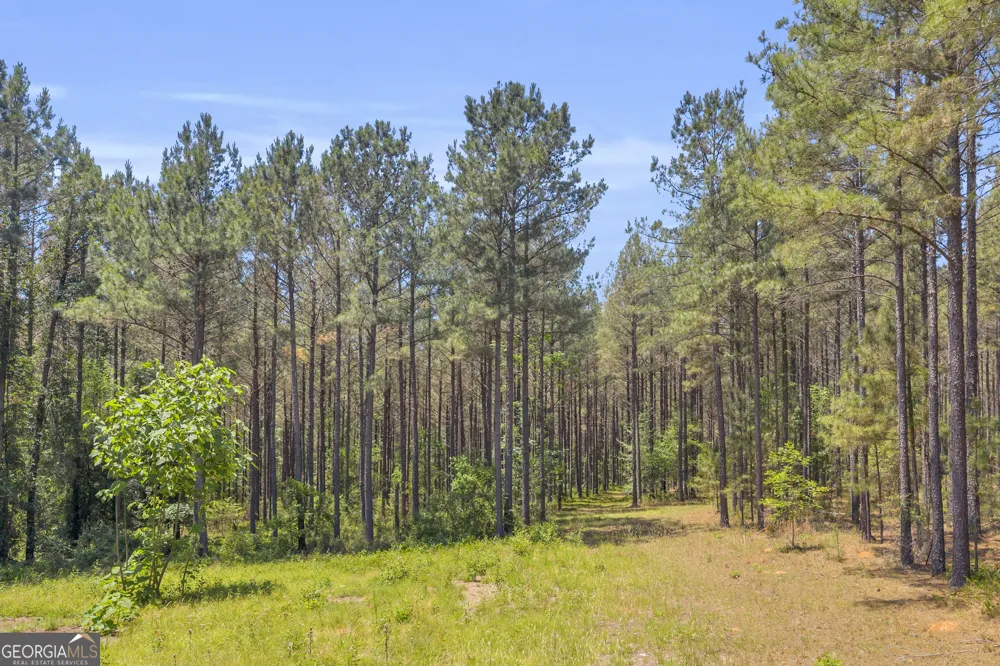 0 Hidden Harbor RD Lincolnton, GA 30817