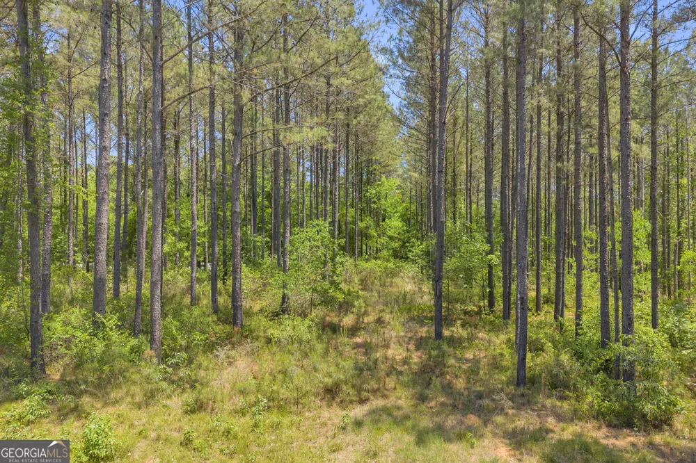 0 Hidden Harbor RD Lincolnton, GA 30817