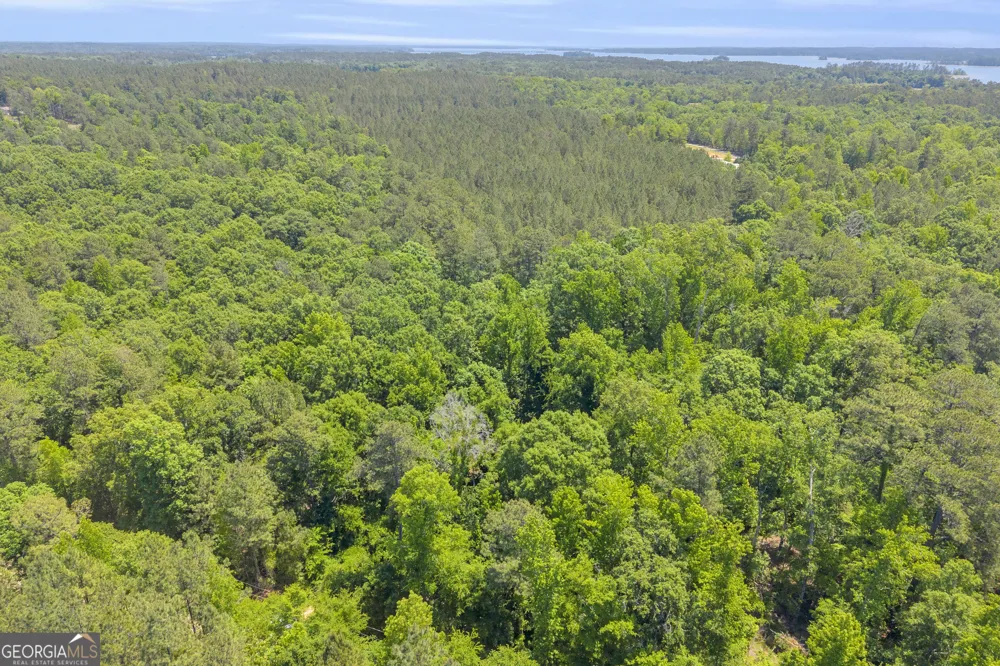 0 Hidden Harbor RD Lincolnton, GA 30817