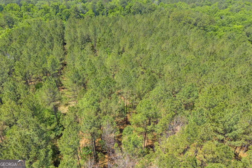 0 Hidden Harbor RD Lincolnton, GA 30817