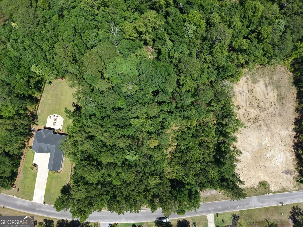 LOT 148 Sanford DR Waverly, GA 31565