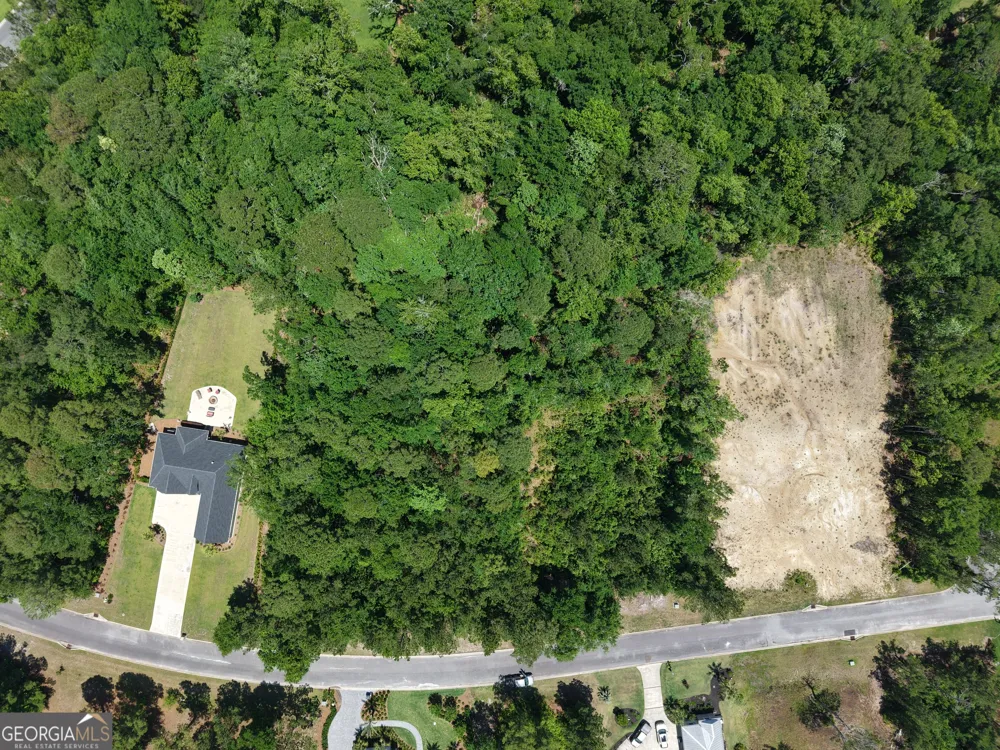 LOT 148 Sanford DR Waverly, GA 31565