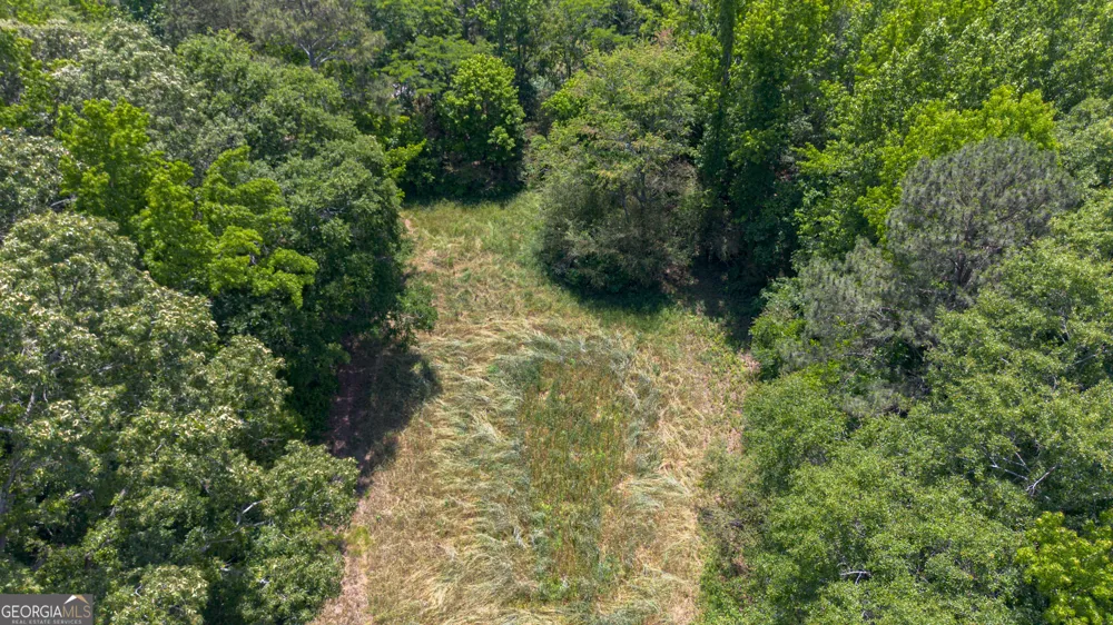 16506 County Road 82 Newell, AL 36280