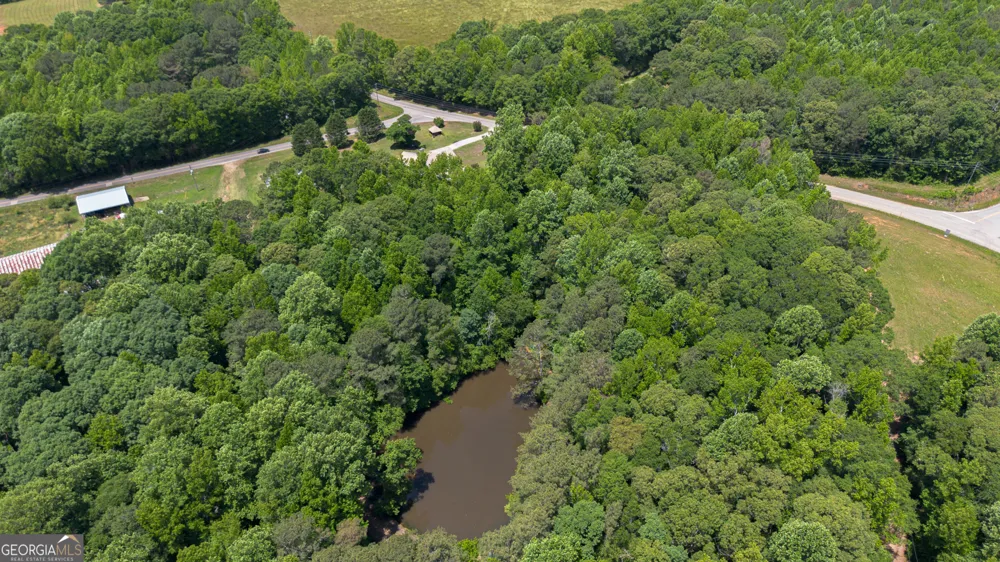16506 County Road 82 Newell, AL 36280