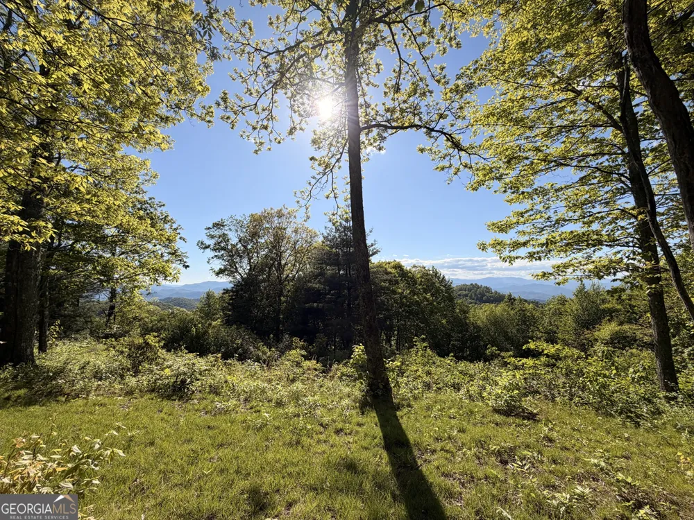 0 Rr 1622 Scaly Mountain, NC 28775