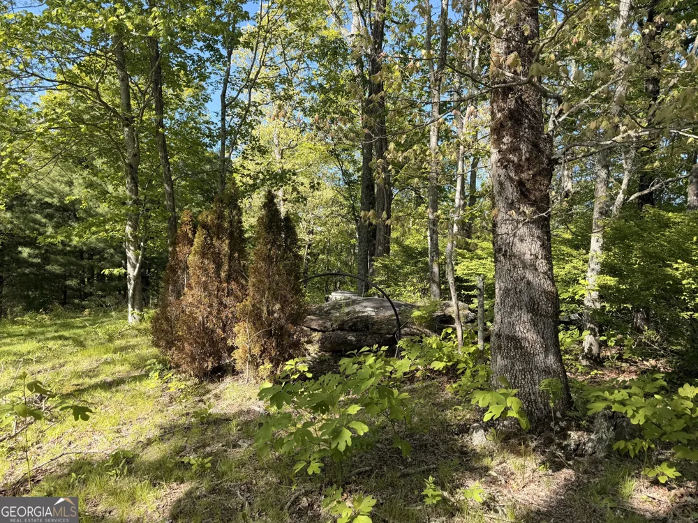 0 Rr 1622 Scaly Mountain, NC 28775
