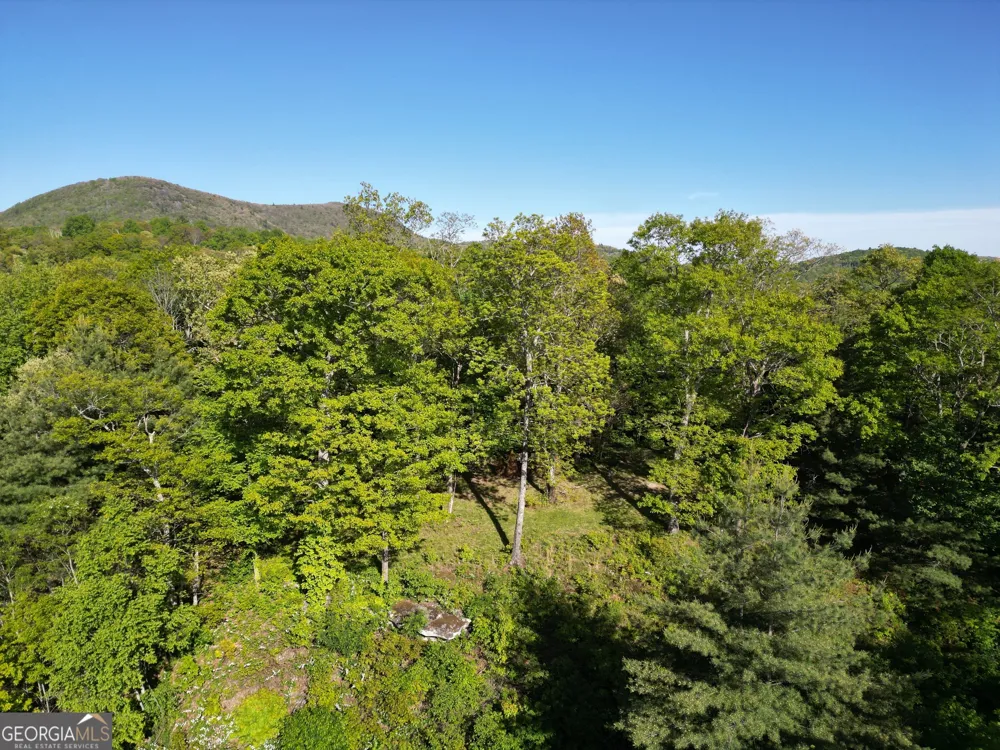 0 Rr 1622 Scaly Mountain, NC 28775