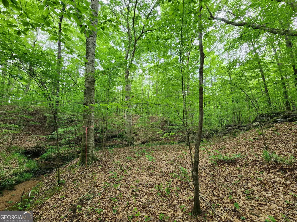 0 GA 85 HWY Waverly Hall, GA 31831