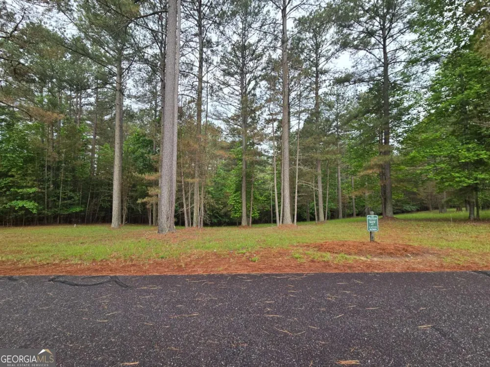 0 Sweetwater LN Blairsville, GA 30512