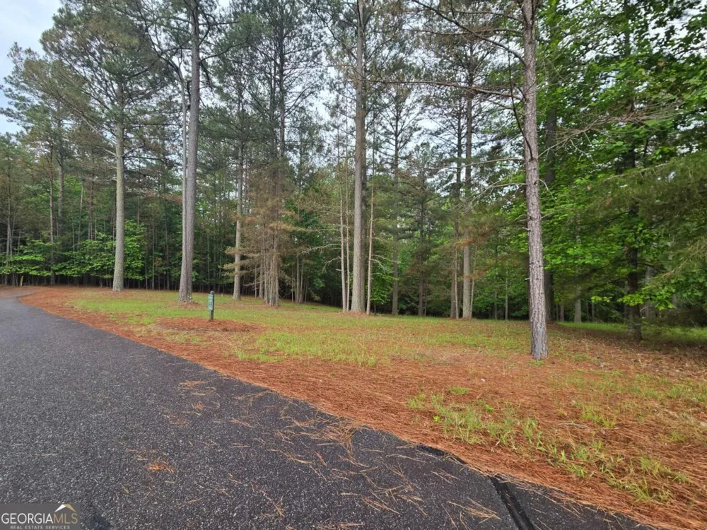 0 Sweetwater LN Blairsville, GA 30512