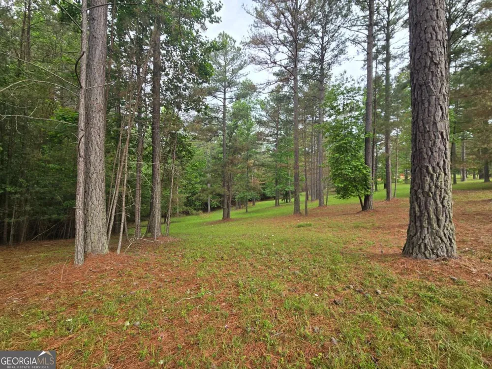 0 Sweetwater LN Blairsville, GA 30512