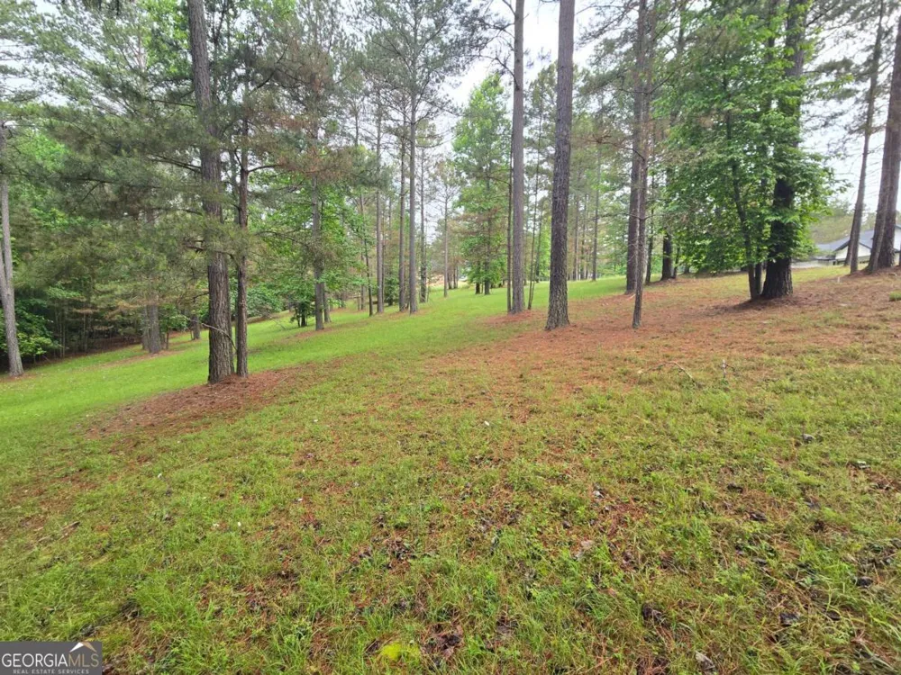 0 Sweetwater LN Blairsville, GA 30512