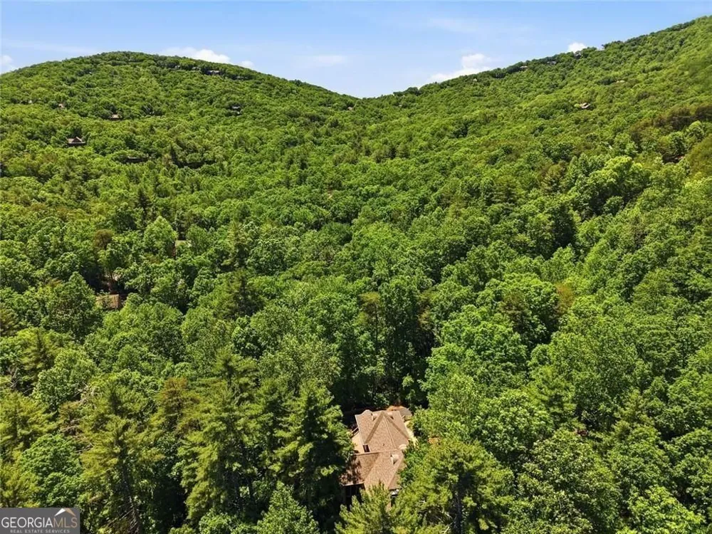 1288 Black Bear TRL Big Canoe, GA 30143