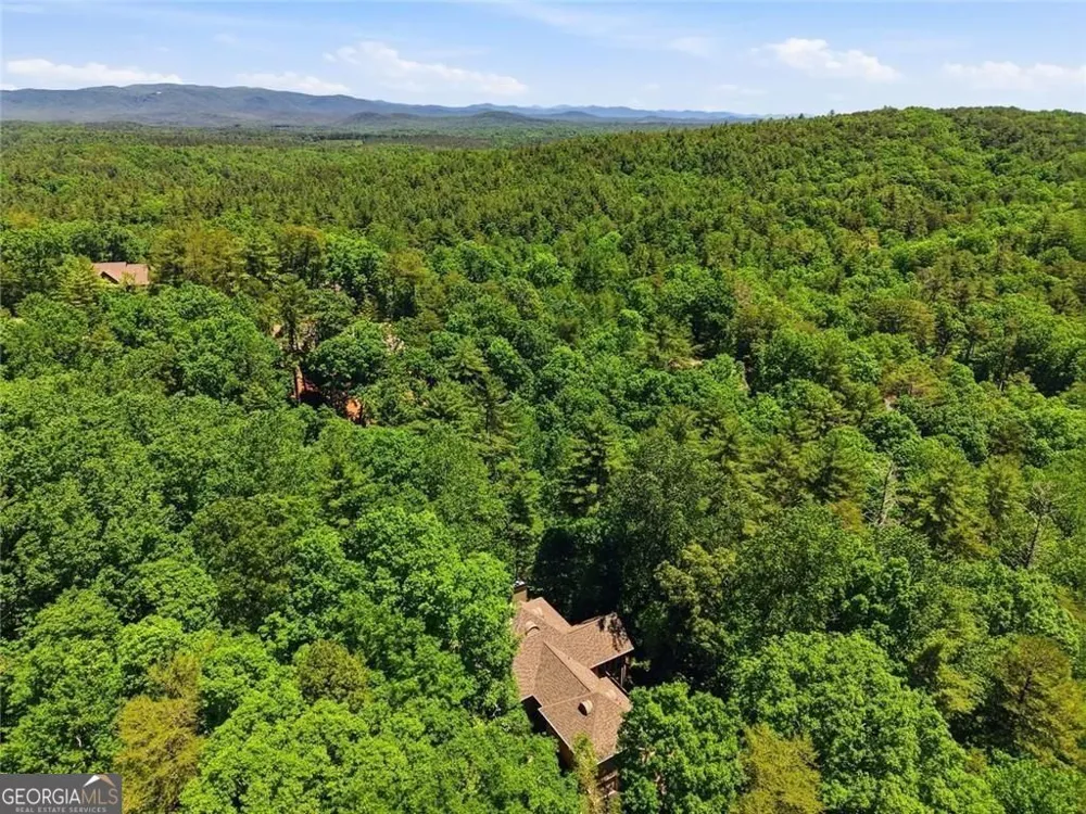 1288 Black Bear TRL Big Canoe, GA 30143