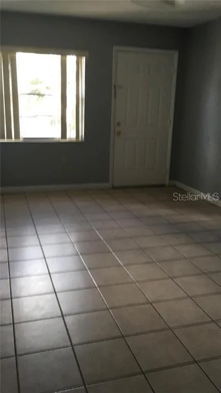 13 LAKE VILLA WAY Kissimmee, FL 34743