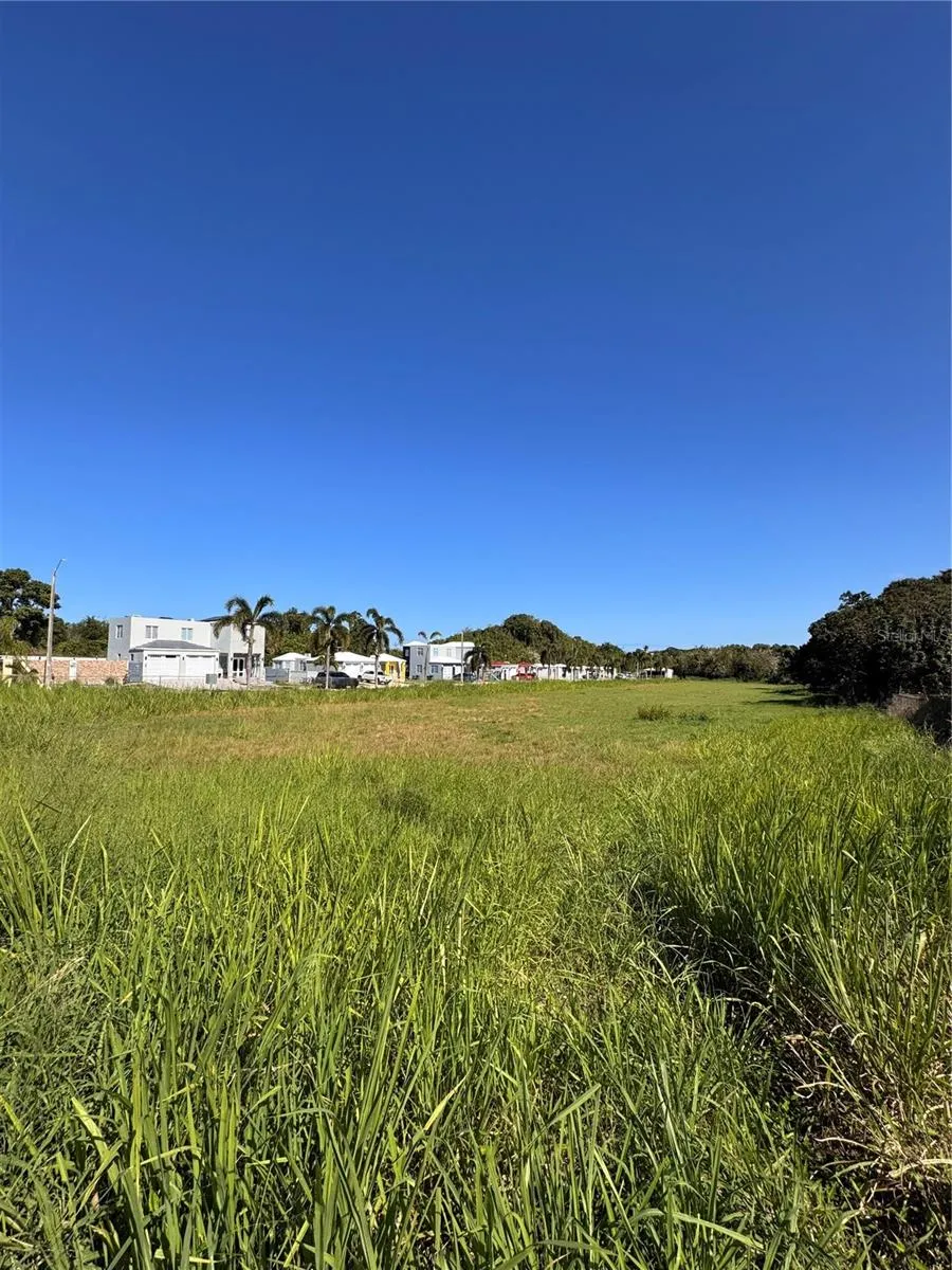 1 PR-604 LOS RABANOS KM 3.4 Manati, PR 00674