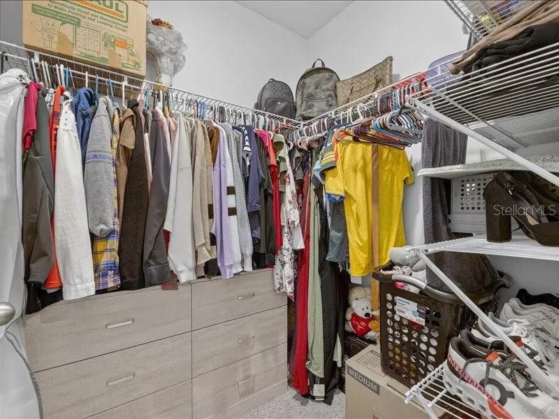 416 MANGROVE SHADE CIRCLE Apollo Beach, FL 33572