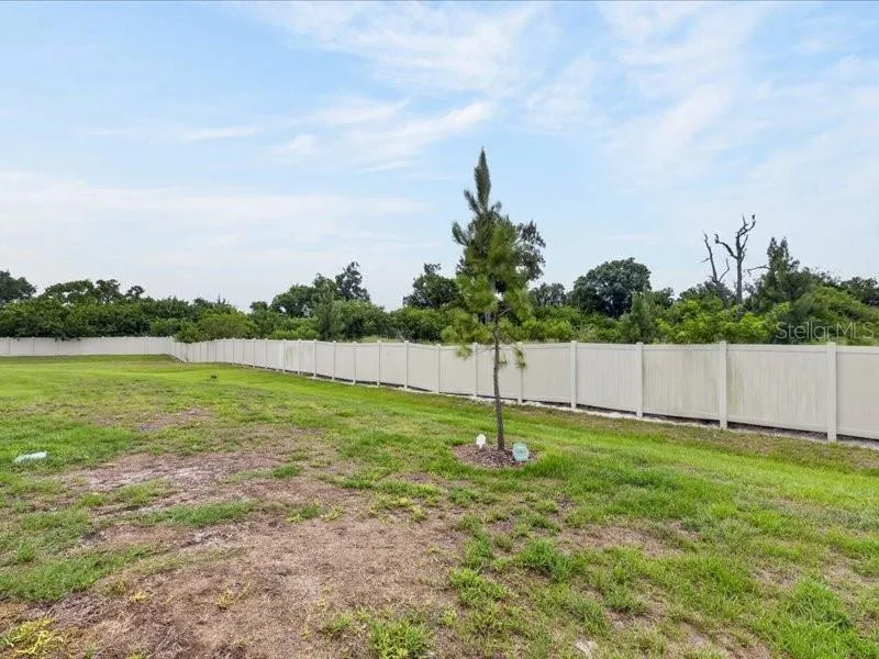 416 MANGROVE SHADE CIRCLE Apollo Beach, FL 33572