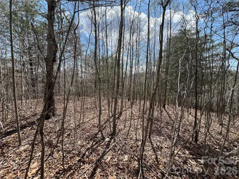 192 Pine Cone Trail #21