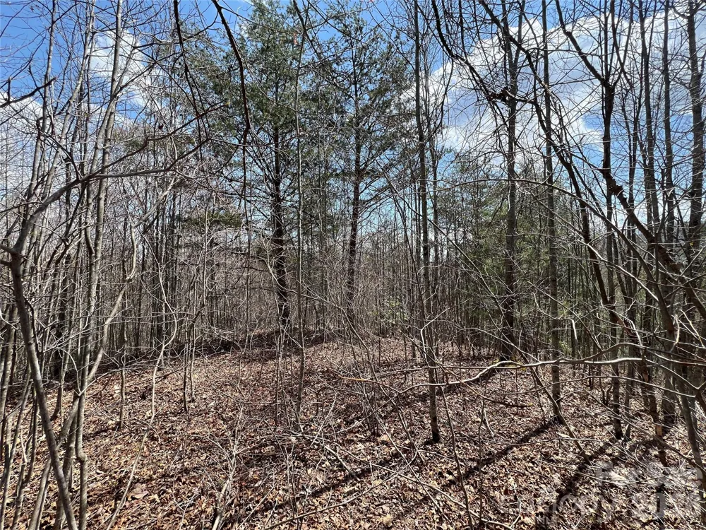 192 Pine Cone Trail #21 Marshall, NC 28753