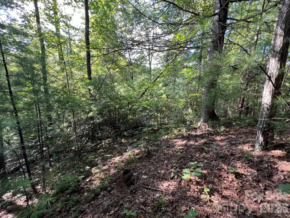 192 Pine Cone Trail #21 Marshall, NC 28753
