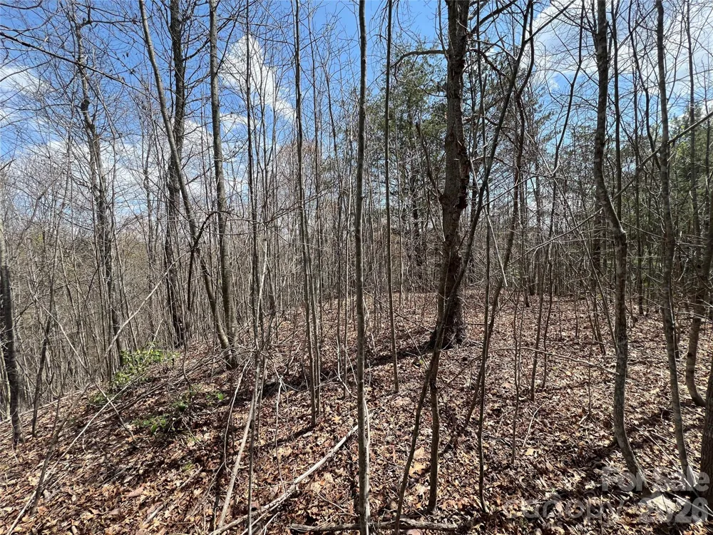 192 Pine Cone Trail #21 Marshall, NC 28753