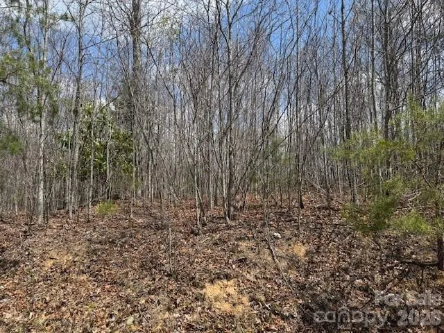 192 Pine Cone Trail #21 Marshall, NC 28753