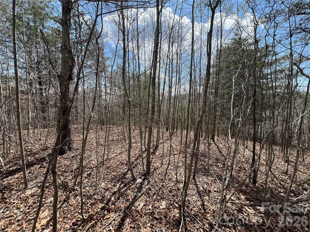192 Pine Cone Trail #21 Marshall, NC 28753