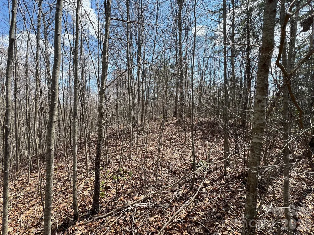 192 Pine Cone Trail #21 Marshall, NC 28753