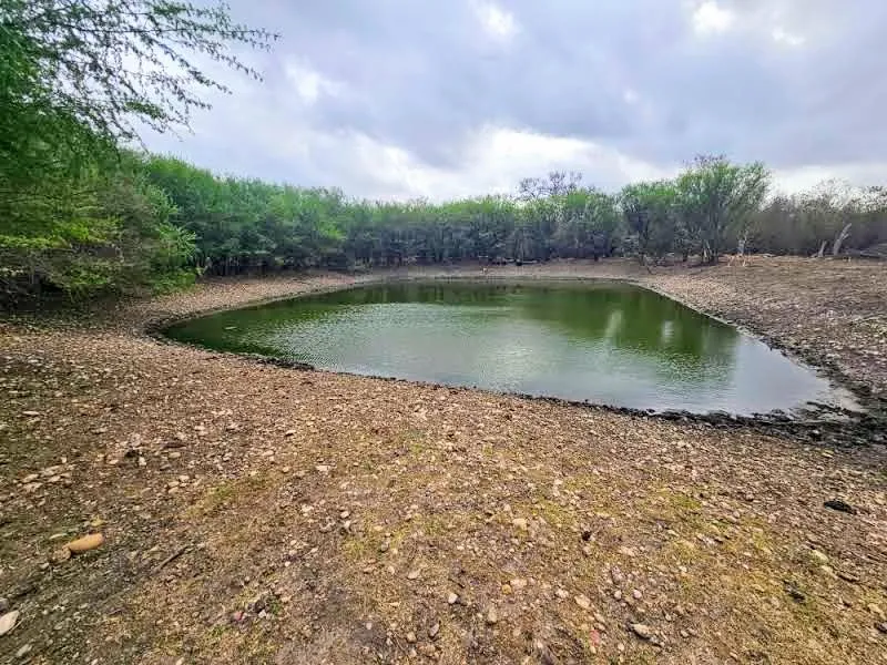 415 Black Watch Lane Lockhart, TX 78644