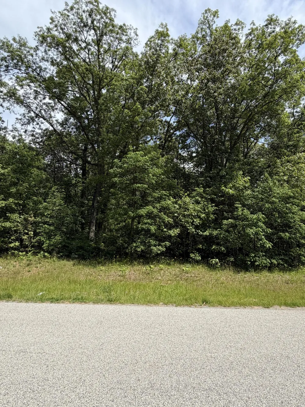 10411 Cynthia Lane Wheatfield, IN 46392