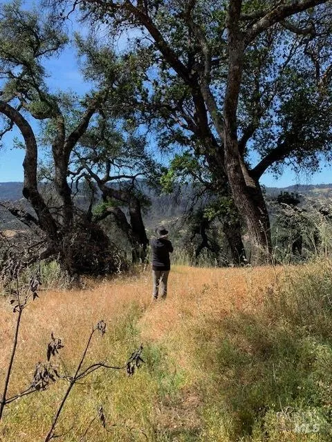 2100 Big Ridge Road Healdsburg, CA 95448