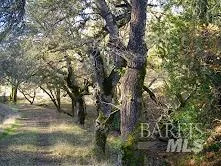 2100 Big Ridge Road Healdsburg, CA 95448