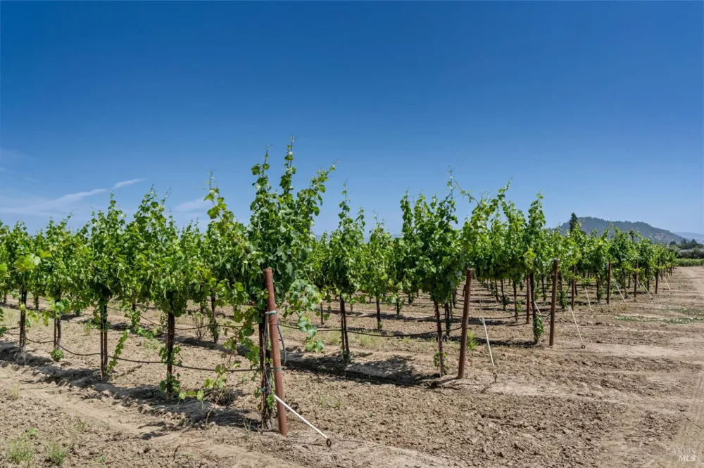 1580 Magnolia Drive Healdsburg, CA 95448