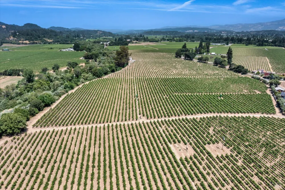 1580 Magnolia Drive Healdsburg, CA 95448