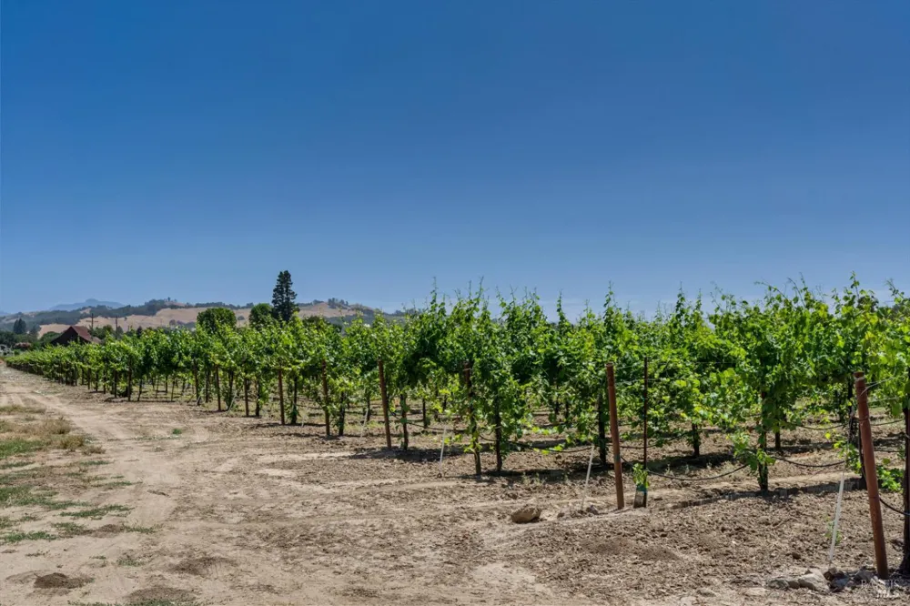 1580 Magnolia Drive Healdsburg, CA 95448