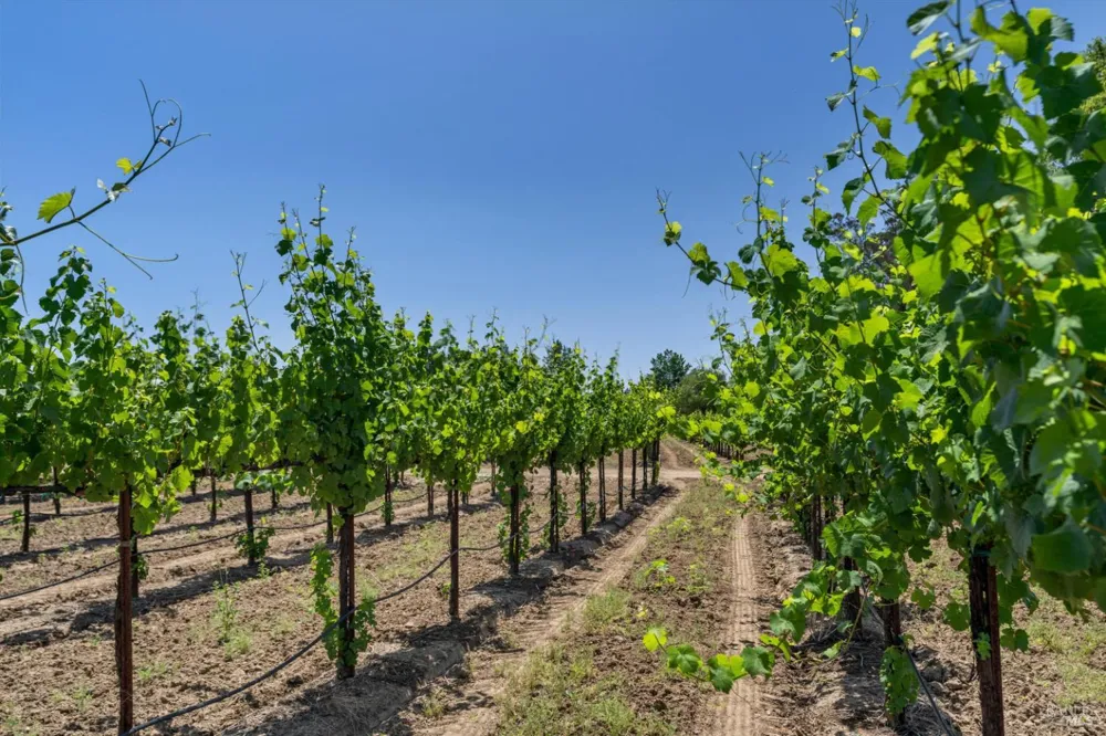 1580 Magnolia Drive Healdsburg, CA 95448