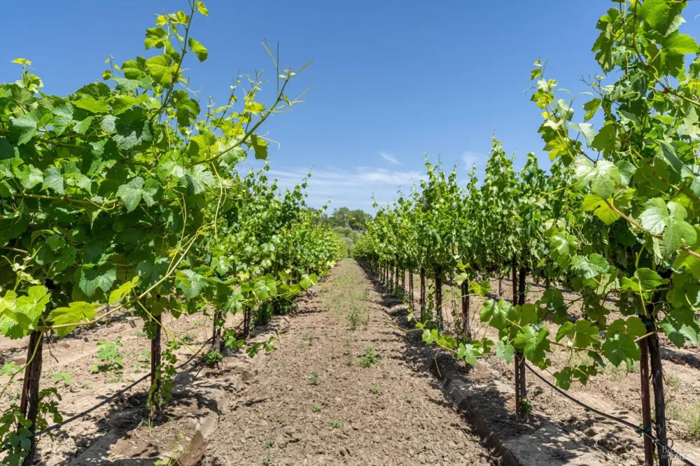1580 Magnolia Drive Healdsburg, CA 95448