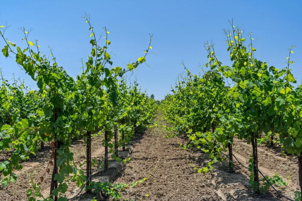1580 Magnolia Drive Healdsburg, CA 95448