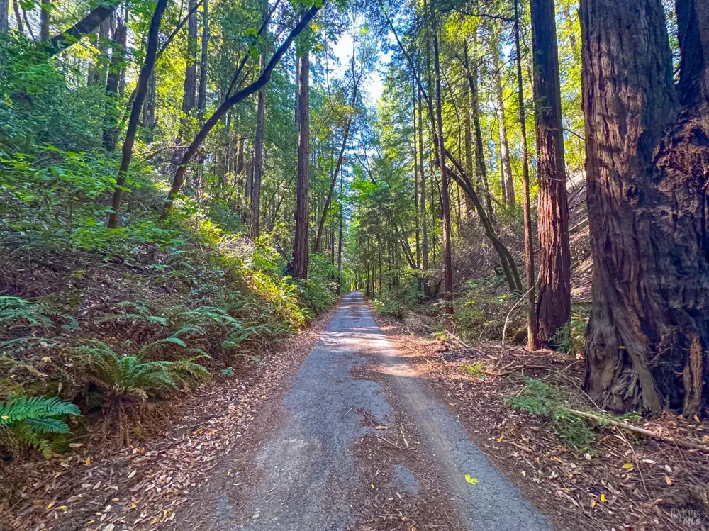 3150 Mill Creek Road Healdsburg, CA 95448