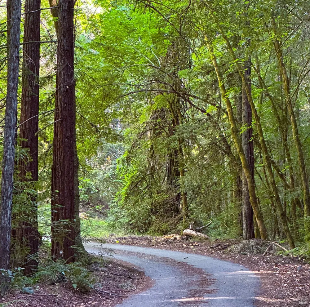 3150 Mill Creek Road Healdsburg, CA 95448