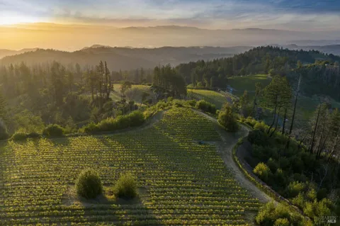 3801 Mount Veeder Road Road