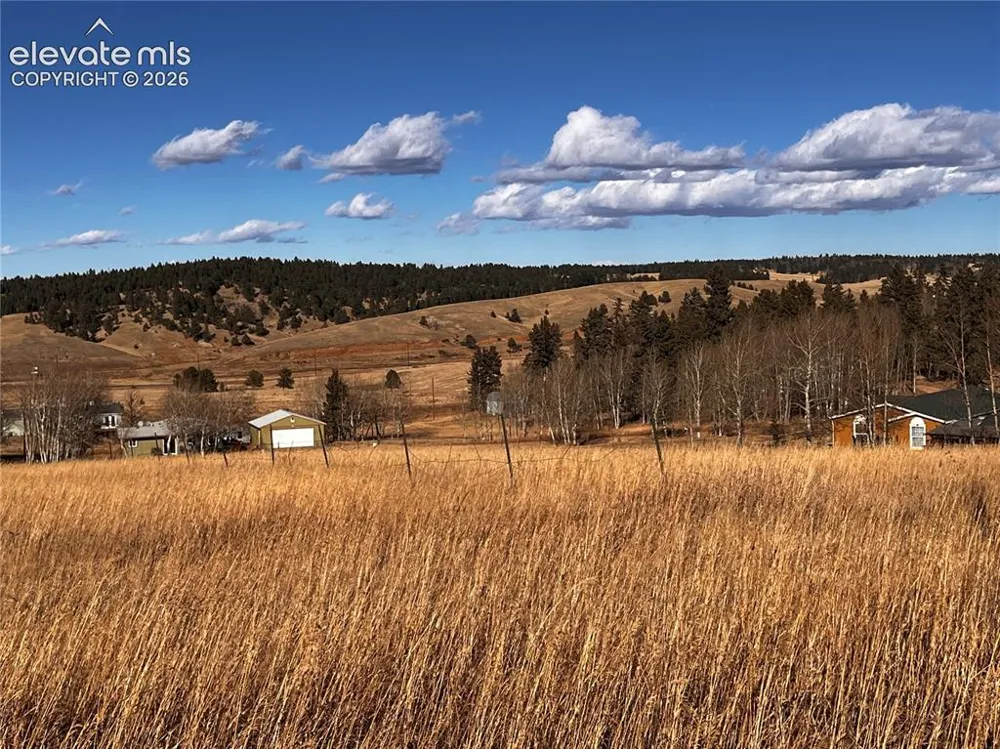 216 Will Scarlet Drive Divide, CO 80814