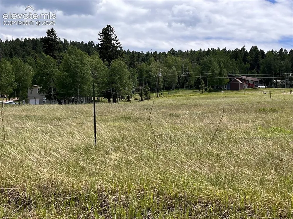 216 Will Scarlet Drive Divide, CO 80814