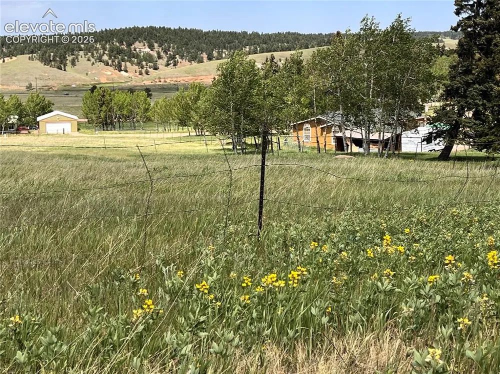 216 Will Scarlet Drive Divide, CO 80814