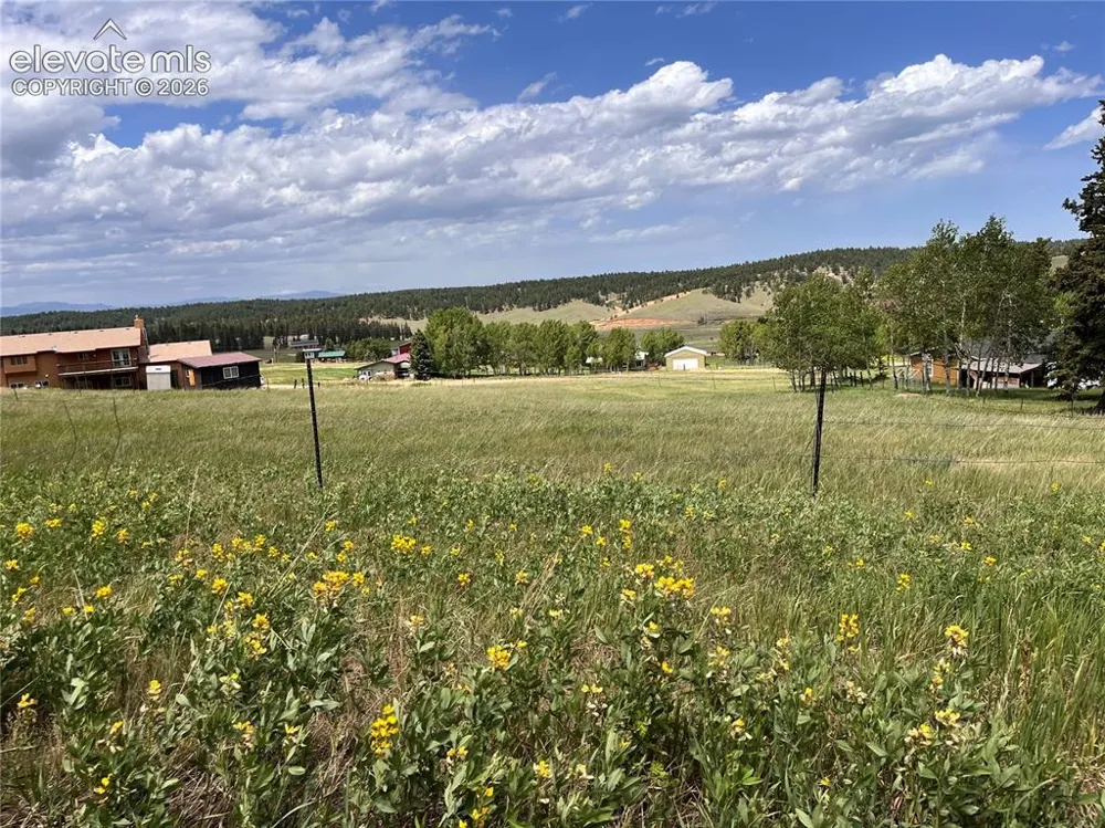 216 Will Scarlet Drive Divide, CO 80814