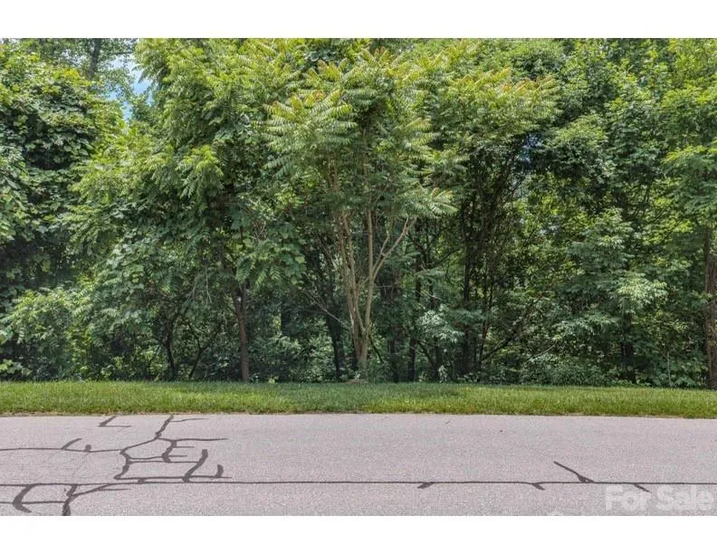 10 Fall Mountain Road #56 Asheville, NC 28803
