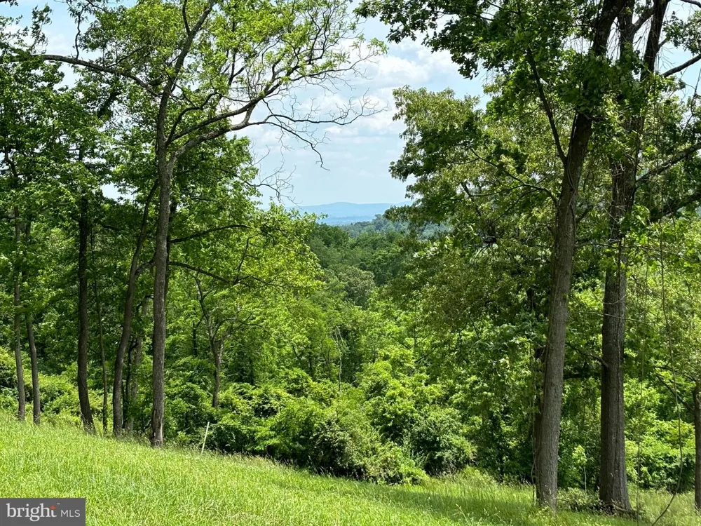 10436 JOHN S MOSBY HIGHWAY Paris, VA 20130